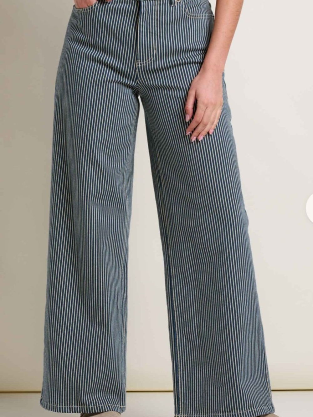NWT Toad & Co Balsam Wide Leg Pants Midnight Stripe Railroad 6